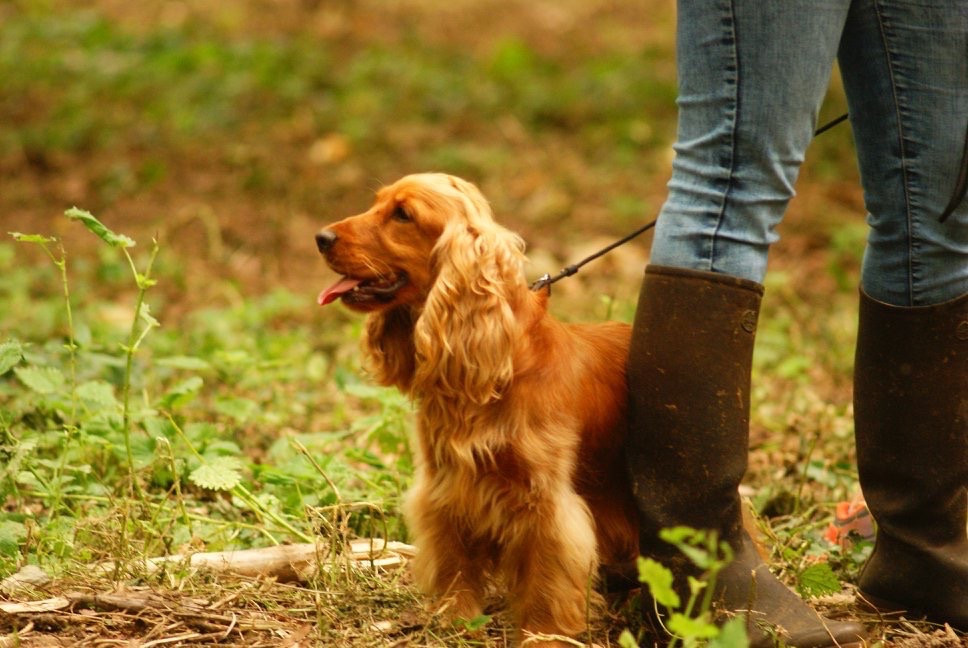 Nenya des Mannes Fleuries